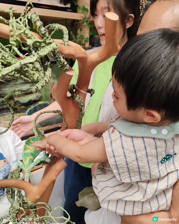 小動物大體驗