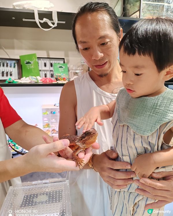 小動物大體驗