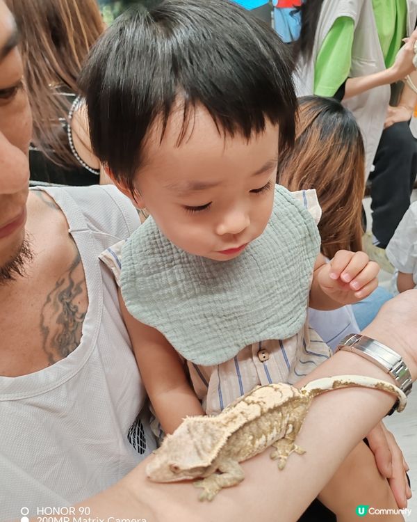 小動物大體驗