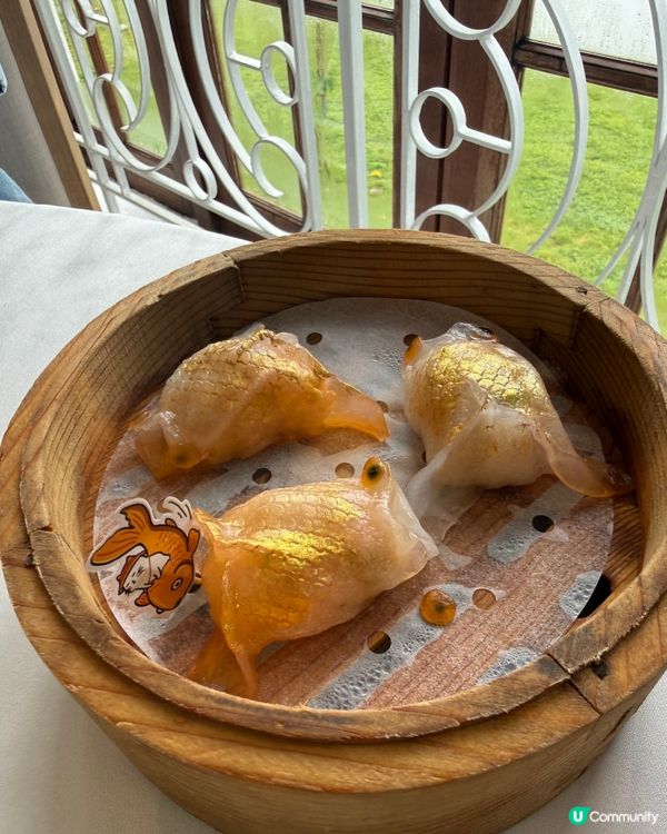 點心夢幻樂園🌈親子打卡📸超好玩！