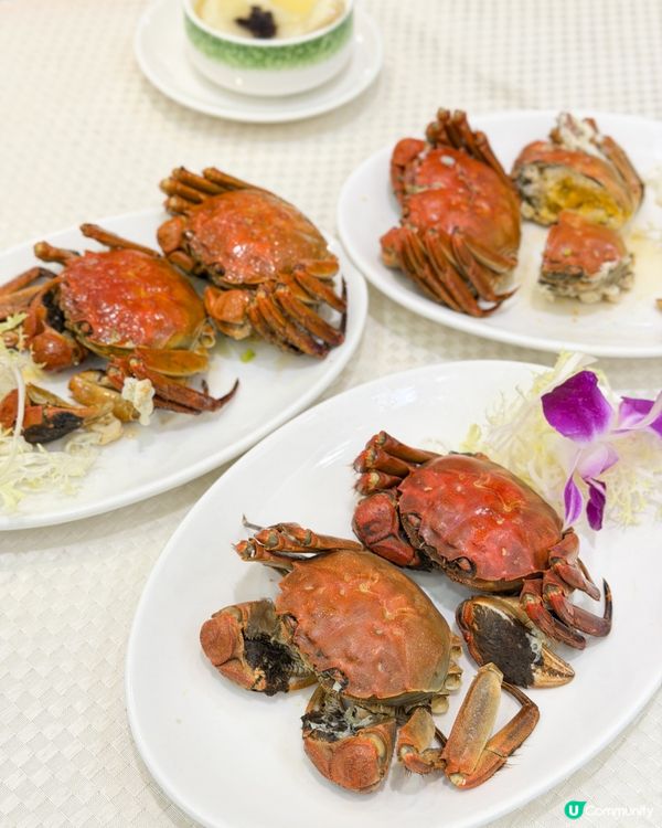 陶源酒家新出嘅120分鐘大閘蟹放題🦀