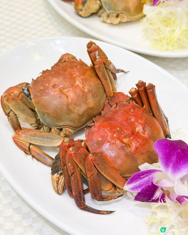 陶源酒家新出嘅120分鐘大閘蟹放題🦀