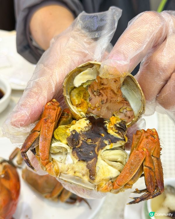 陶源酒家新出嘅120分鐘大閘蟹放題🦀