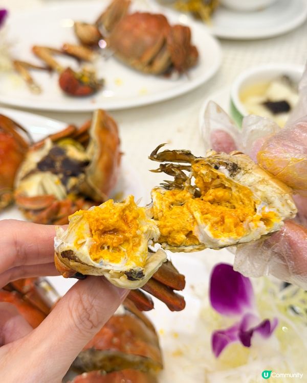 陶源酒家新出嘅120分鐘大閘蟹放題🦀