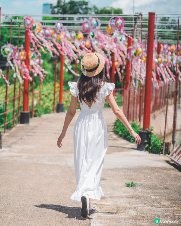 【元朗信芯園🌻最後機會】金黃花海就快消失