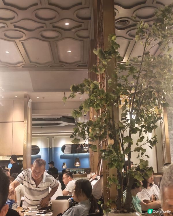 百年老字號陶陶居🍽️💯