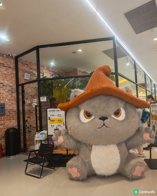 貓奴天堂🚨 貓咪藝術展🐾💯