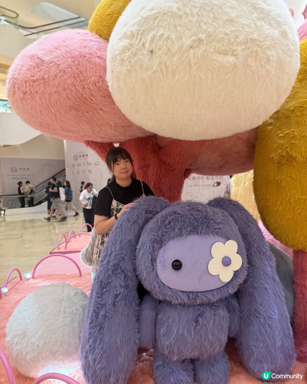 軟綿綿的Juju World✨✨