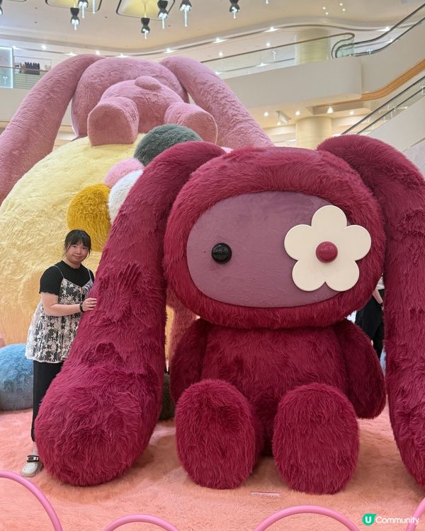 軟綿綿的Juju World✨✨