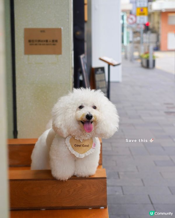 銅鑼灣寵物友善 cafe🐾☕️