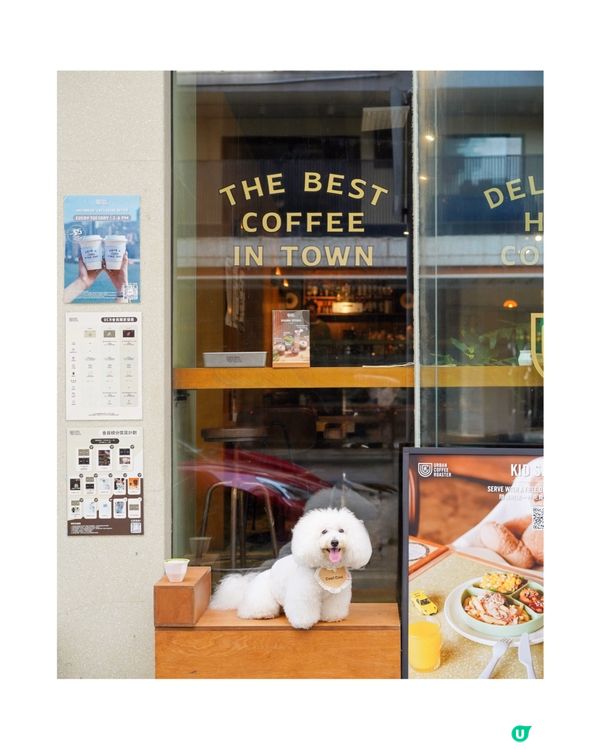 銅鑼灣寵物友善 cafe🐾☕️
