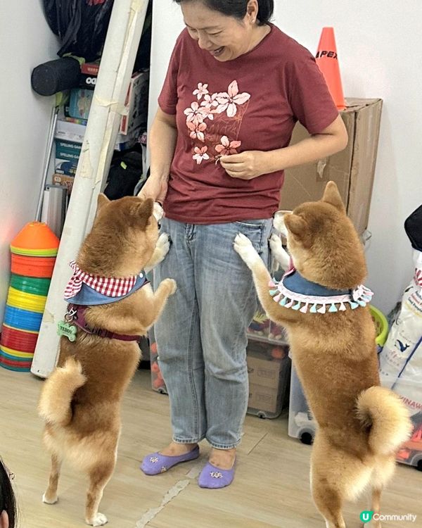 「友善寵物大使」探訪活動 ~ 中心充滿住笑聲同滿滿治癒能量,...