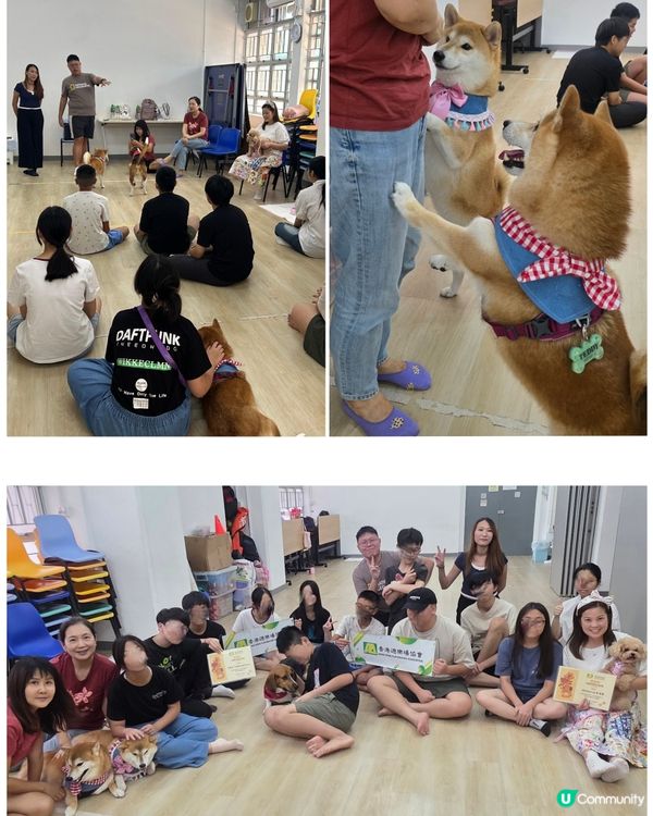 「友善寵物大使」探訪活動 ~ 中心充滿住笑聲同滿滿治癒能量,...