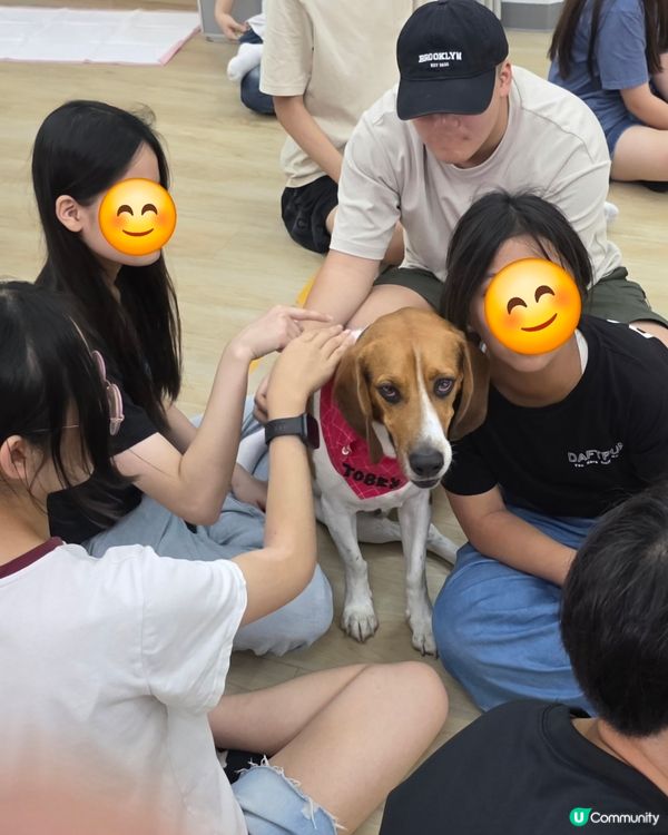 「友善寵物大使」探訪活動 ~ 中心充滿住笑聲同滿滿治癒能量,...
