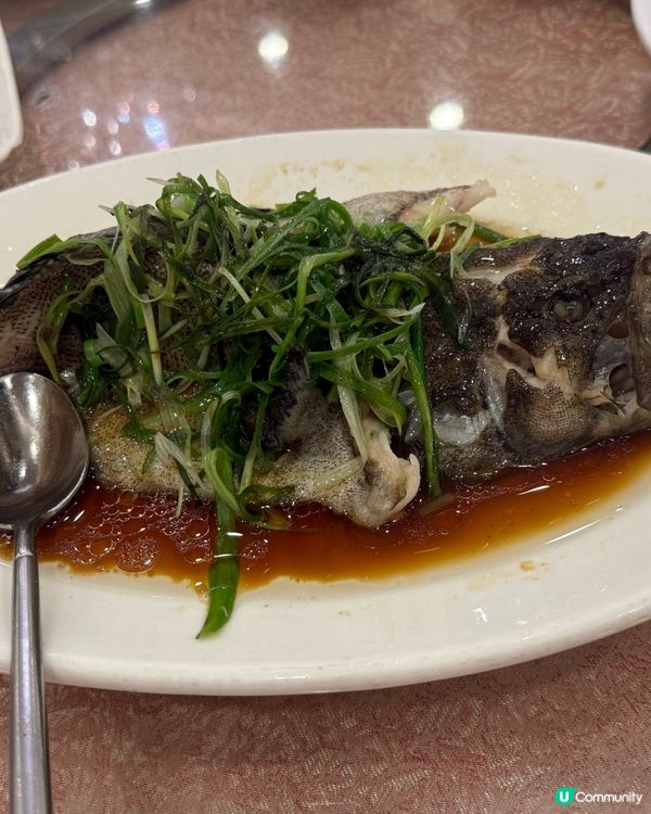 乳豬套餐半圍，六人份，好抵食，食唔晒