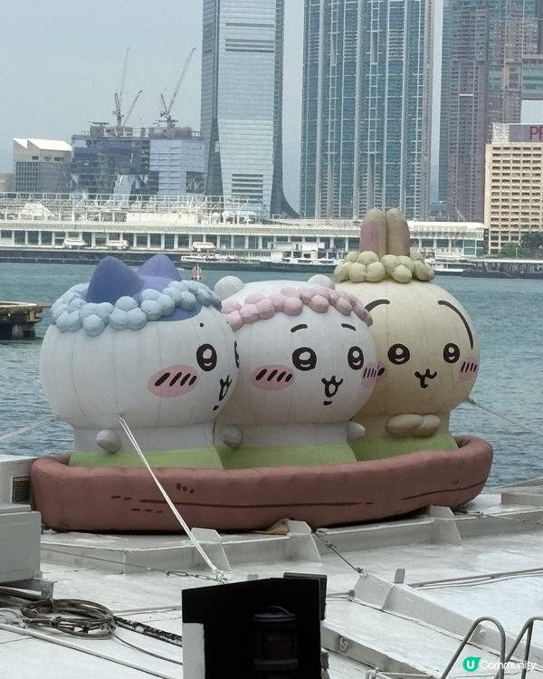Chiikawa 天星小輪半天遊