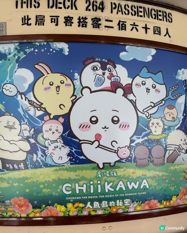 Chiikawa 天星小輪半天遊