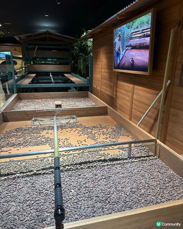 北海道Royce Chocolate Town朱古力工廠🍫