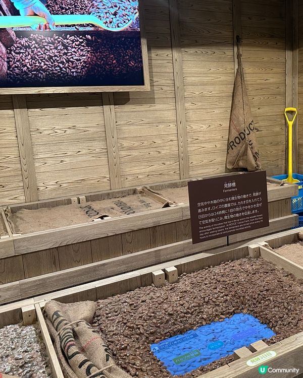 北海道Royce Chocolate Town朱古力工廠🍫