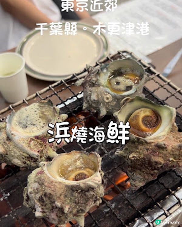 【2026 東京8天遊】東京近郊│千葉縣 木更津 ♥ 木更津港海邊小屋食浜燒海鮮 + 海鮮丼