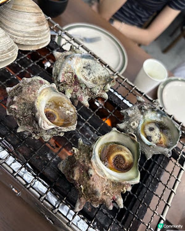 【2026 東京8天遊】東京近郊│千葉縣 木更津 ♥ 木更津港海邊小屋食浜燒海鮮 + 海鮮丼