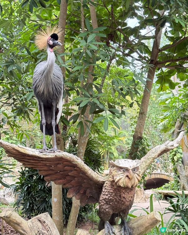 珍珠野生動物園，富國島必去景點