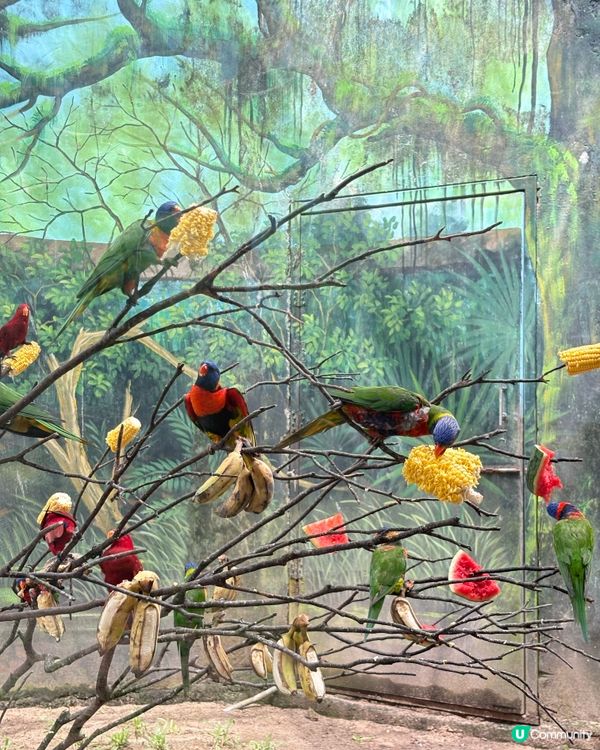 珍珠野生動物園，富國島必去景點
