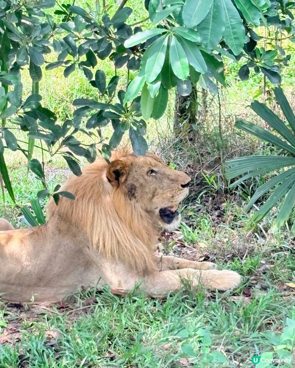 珍珠野生動物園，富國島必去景點