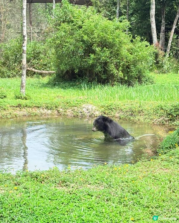 珍珠野生動物園，富國島必去景點