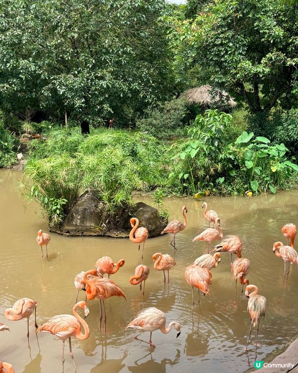 珍珠野生動物園，富國島必去景點