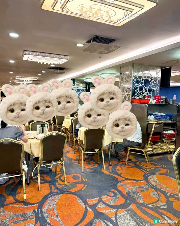 富苑金閣
