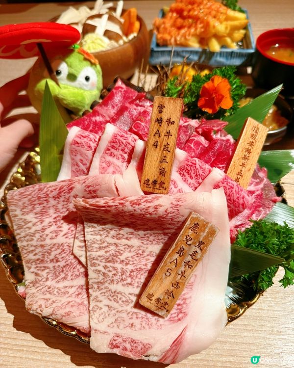 達摩堂壽喜燒💯正！🤤🐮🥩