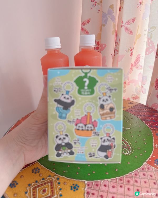 海洋公園熊貓盲盒🐼 $49限定！