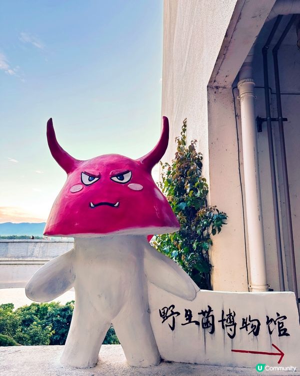大理必去十大打卡景點
