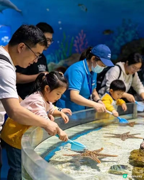 上海海洋水族館真係親子遊首選，個藍色隧道影相勁有feel，啲...