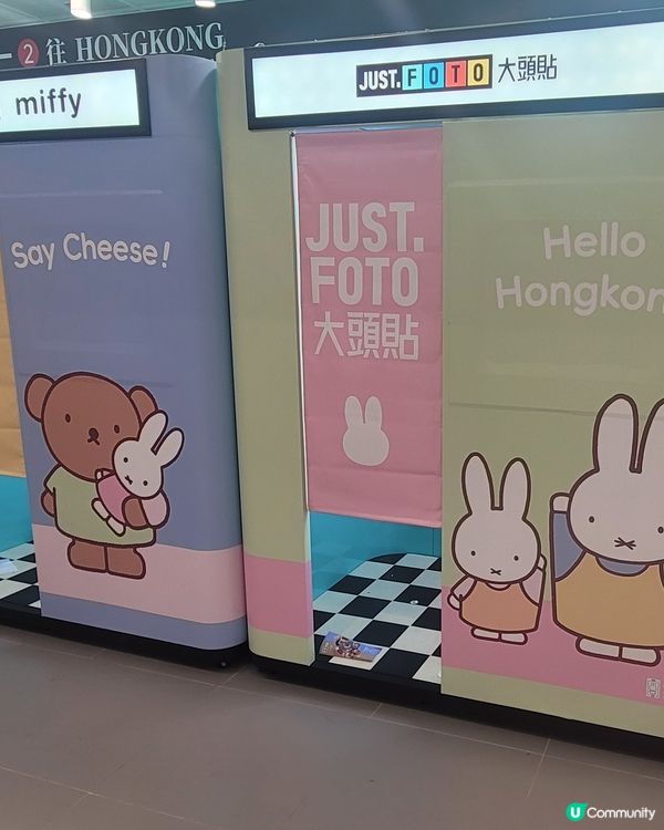 Miffy大頭貼