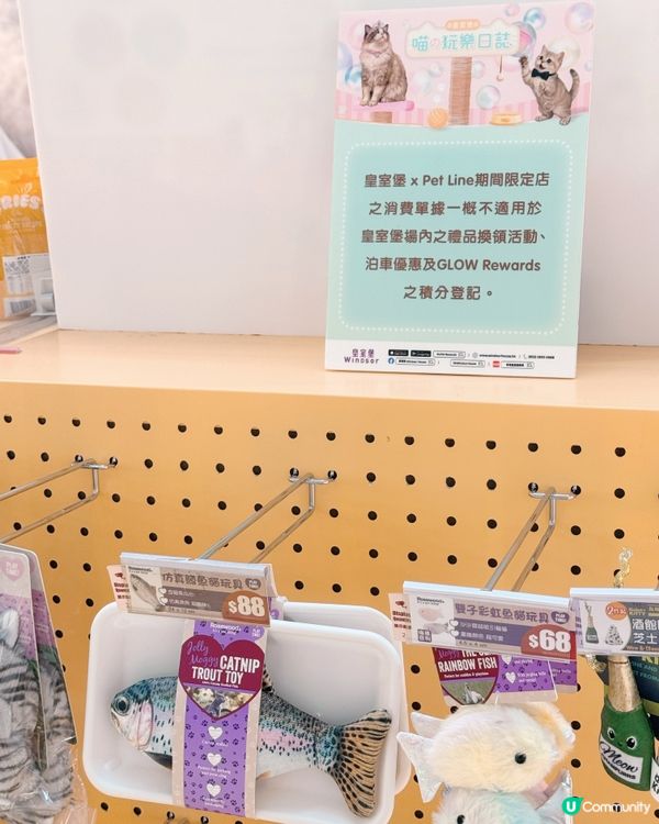 🇭🇰 銅鑼灣皇室堡「喵の玩樂日誌」主題活動
