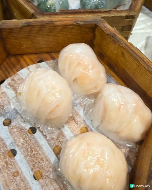 星期日聚會，就係去飲茶傾吓偈