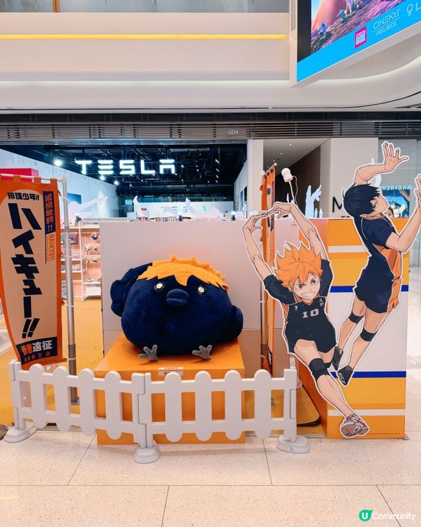 《排球少年!!》香港遠征期間限定店