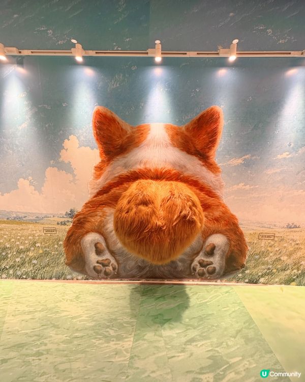 香港🇭🇰Mega Art Space