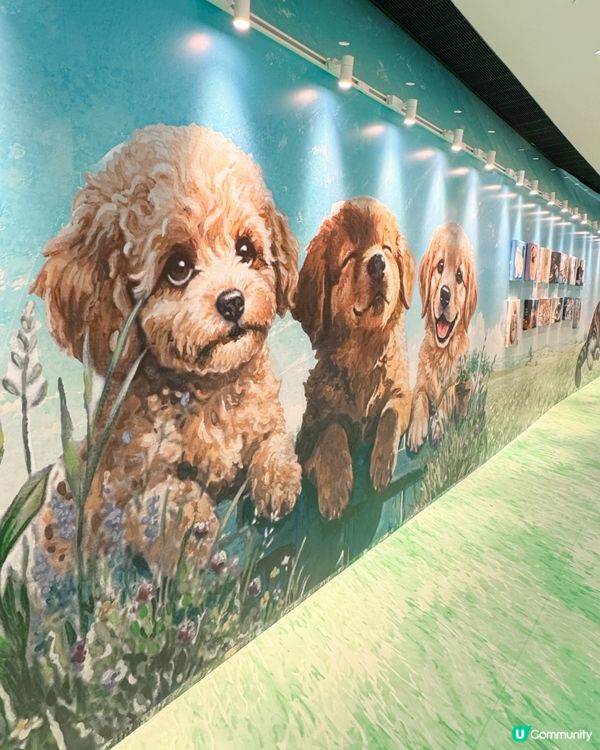 香港🇭🇰Mega Art Space
