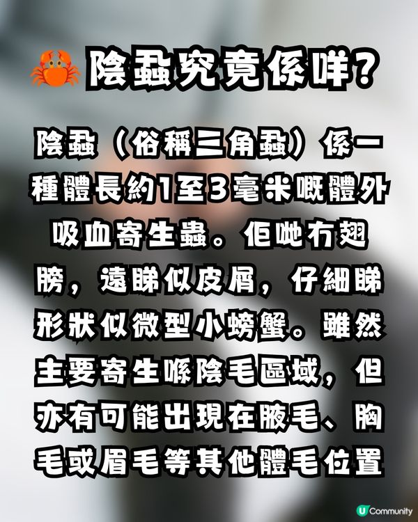 深圳酒店疑爆陰蝨 😱港爸返港後私處持續痕癢驚見活蟲 🐛附3大預防建議