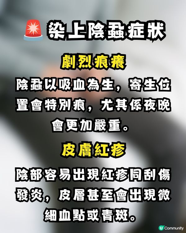 深圳酒店疑爆陰蝨 😱港爸返港後私處持續痕癢驚見活蟲 🐛附3大預防建議