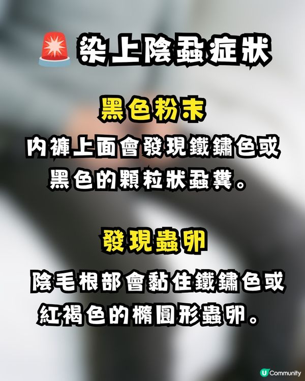 深圳酒店疑爆陰蝨 😱港爸返港後私處持續痕癢驚見活蟲 🐛附3大預防建議