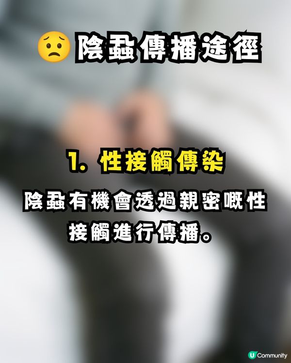 深圳酒店疑爆陰蝨 😱港爸返港後私處持續痕癢驚見活蟲 🐛附3大預防建議