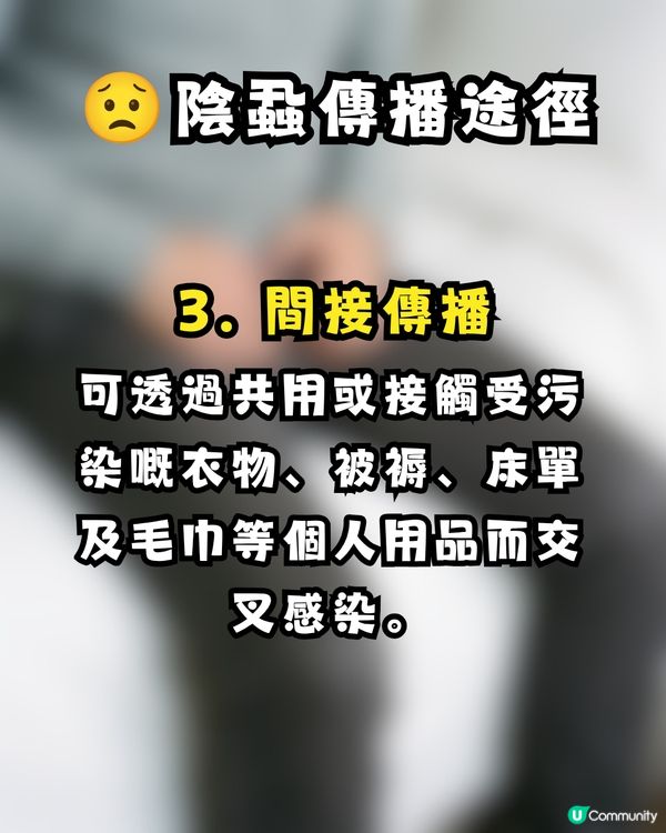 深圳酒店疑爆陰蝨 😱港爸返港後私處持續痕癢驚見活蟲 🐛附3大預防建議
