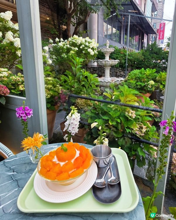 首爾弘大花花Cafe☕️🌸🌸