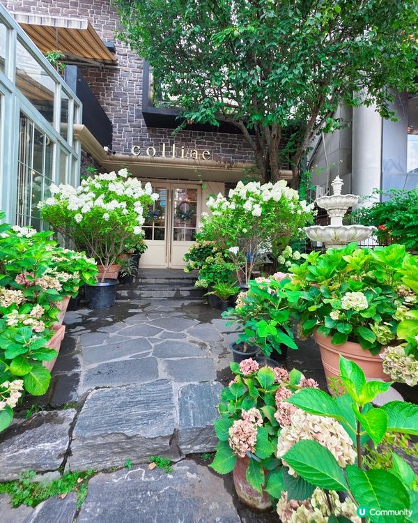 首爾弘大花花Cafe☕️🌸🌸