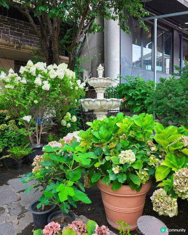 首爾弘大花花Cafe☕️🌸🌸