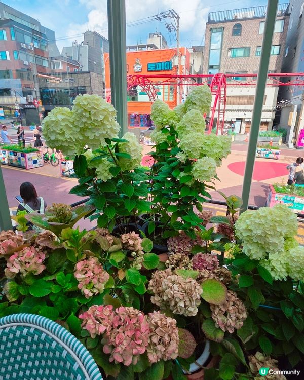 首爾弘大花花Cafe☕️🌸🌸